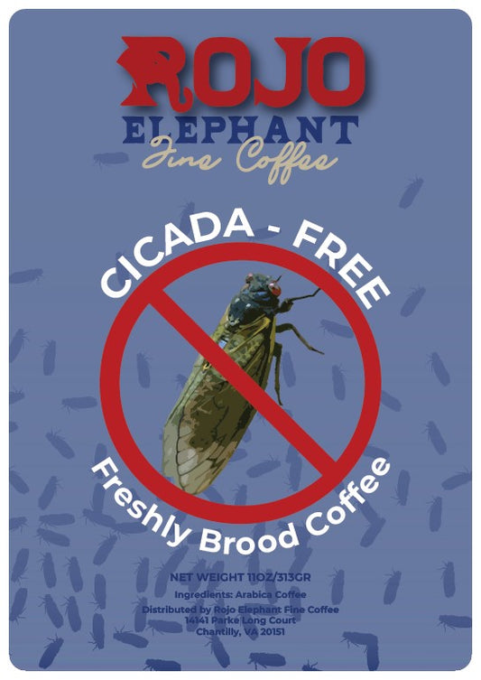 Cicada Free