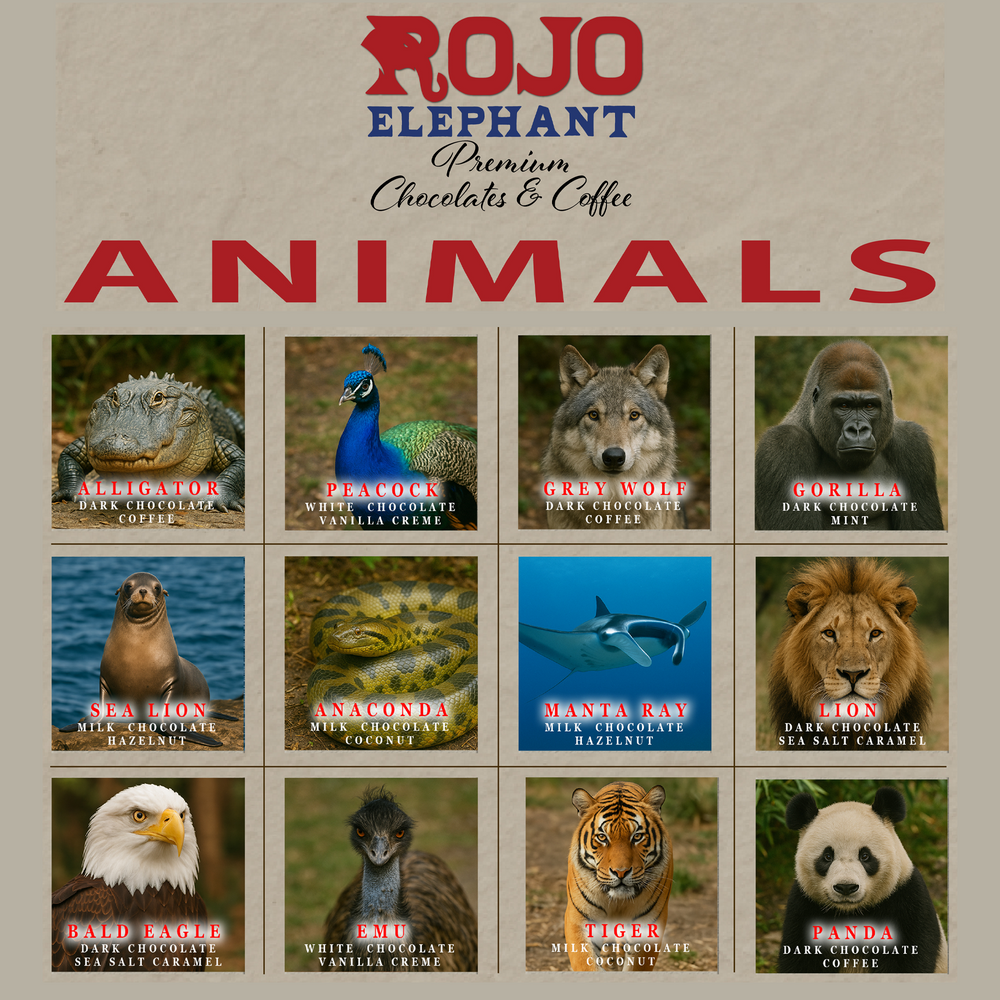 Animals Gift Box - 24-Piece