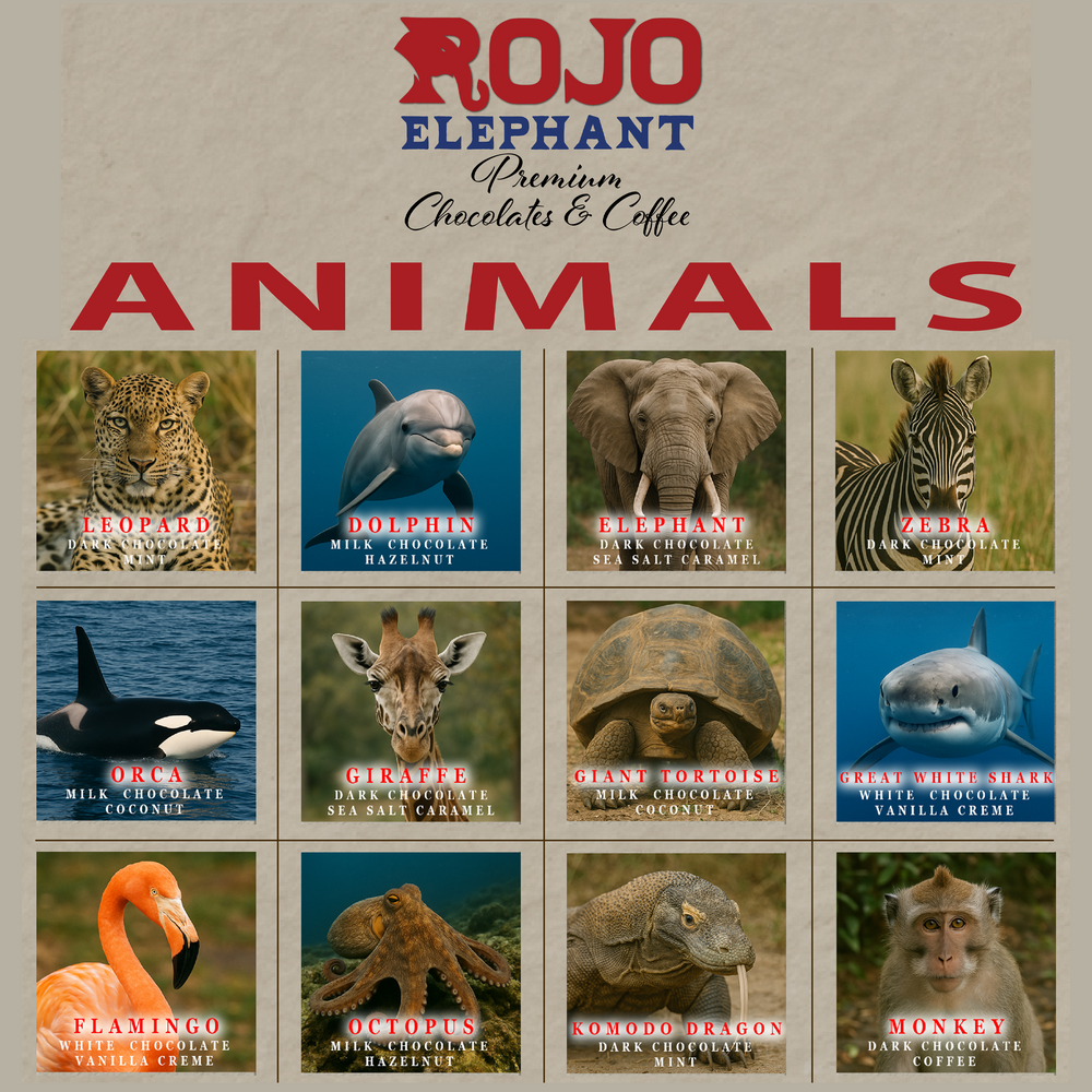 Animals Gift Box - 24-Piece