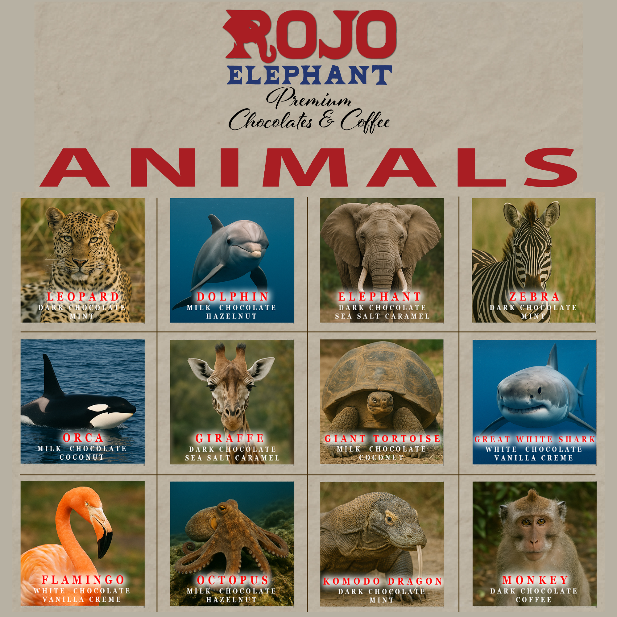 Animals Gift Box - 4-Piece